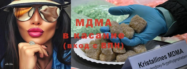 прущие грибы Михайловка