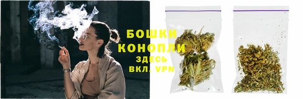 прущие грибы Михайловка