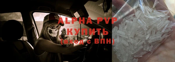 прущие грибы Михайловка