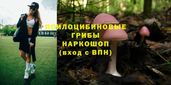 прущие грибы Михайловка