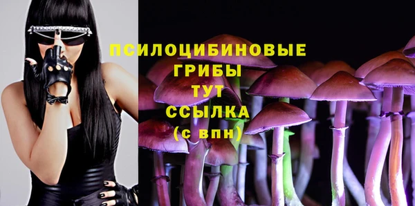 не бодяженный Михайлов