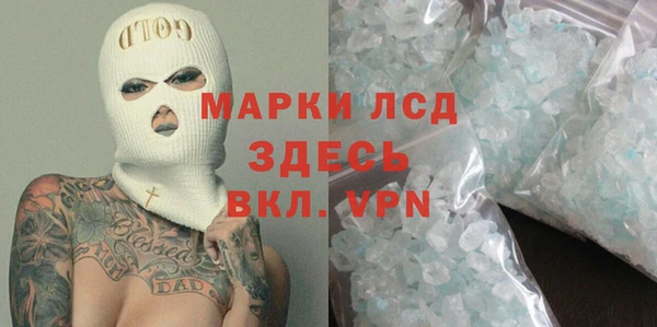 прущие грибы Михайловка