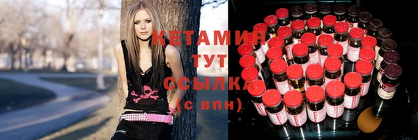прущие грибы Михайловка