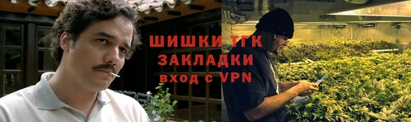 прущие грибы Михайловка